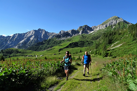 All’Angelo di CIMA CADELLE (2483 m) dalla Baita del Camoscio (1750 m) il 23 giugno 2018 - FOTOGALLERY